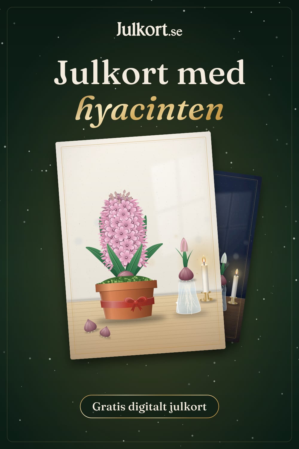Julkort med hyacinten, bild att spara på Pinterest