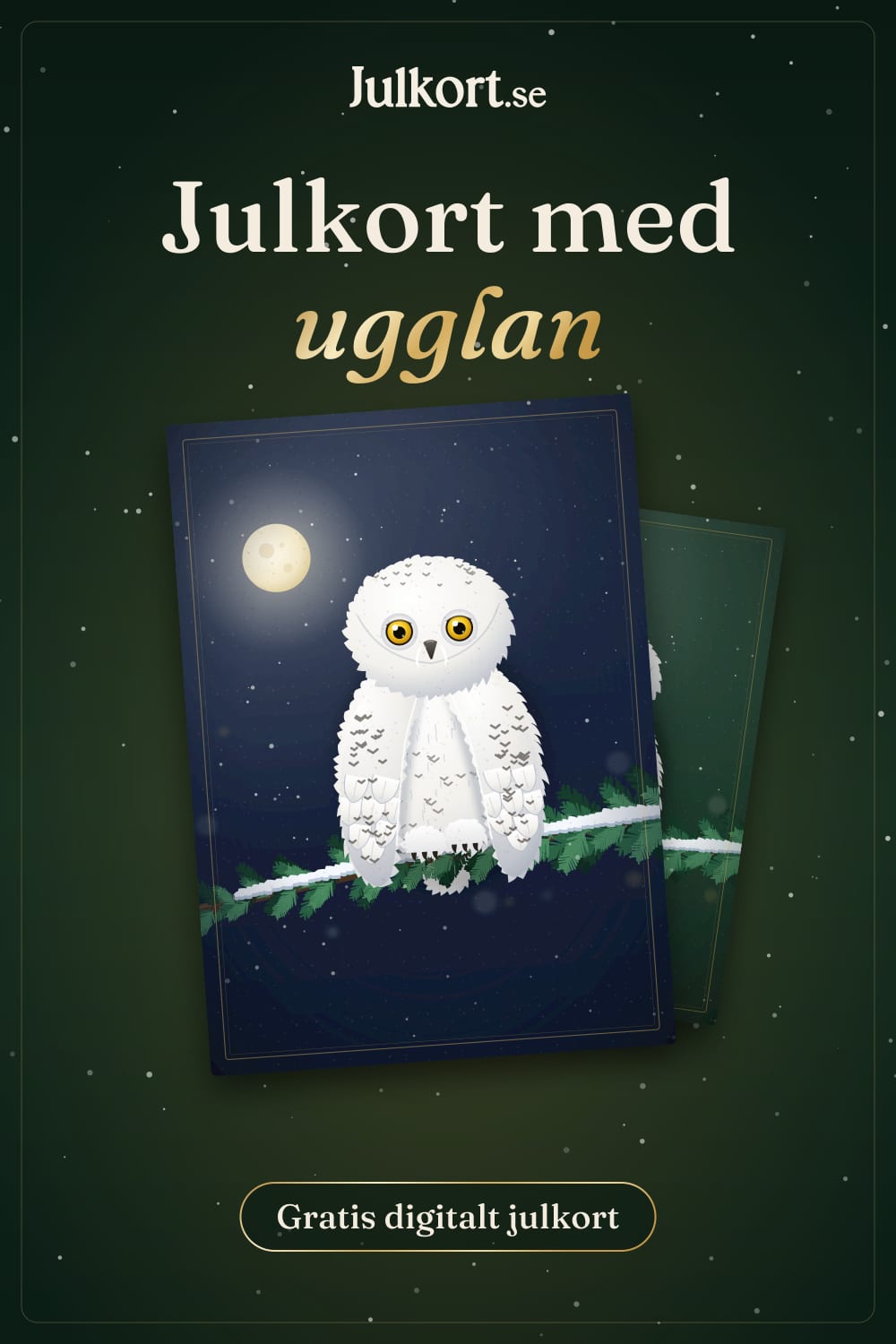 Julkort med ugglan, bild att spara på Pinterest